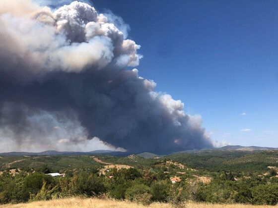 Η φωτιά καίει στην περιοχή Γκίμπρενα του δάσους της Δαδιάς